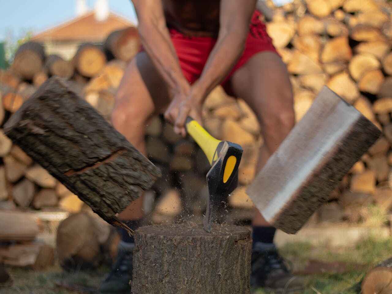 The Steps Involved in Our Tree Care Process in Bee Cave, TX